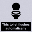 this-toilet-flushes-automatically~